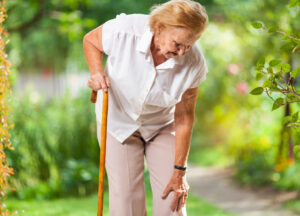 Fall risk in the elderly is increased when a senior has osteoarthritis